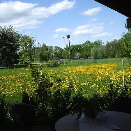 In Kienitz Mit Grill, Terrasse Und Garten Holiday home *