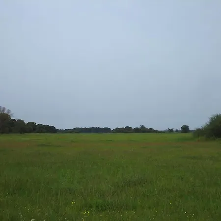 Oderhaeuschen * Letschin
