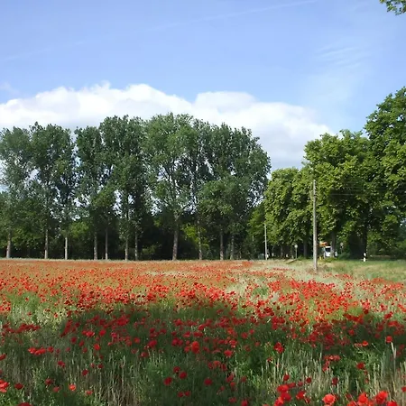 In Kienitz Mit Grill, Terrasse Und Garten Holiday home